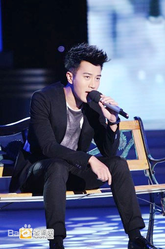 刘恺威(Hawick Lau，Lau Hoi Wai)2011活动集图册