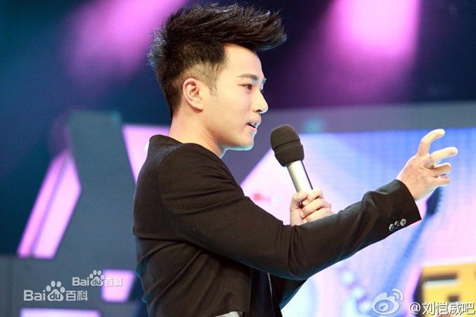 刘恺威(Hawick Lau，Lau Hoi Wai)2011活动集图册