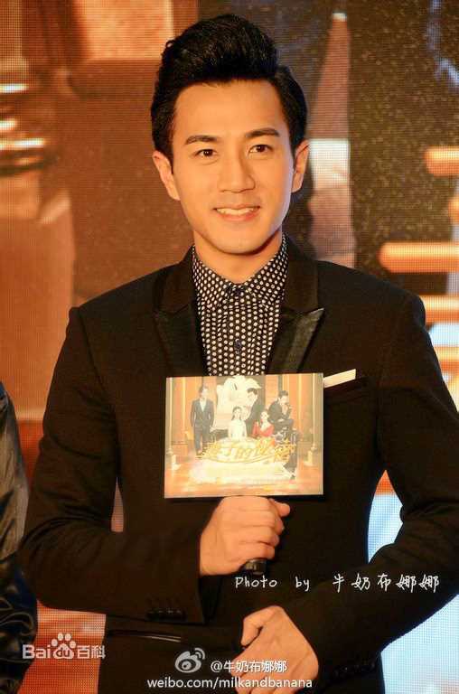 刘恺威(Hawick Lau，Lau Hoi Wai)2014年活动集前后照片