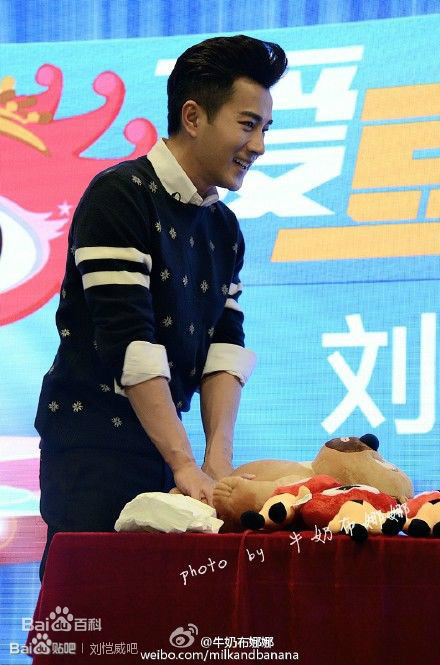 刘恺威(Hawick Lau，Lau Hoi Wai)2015年活动集图册