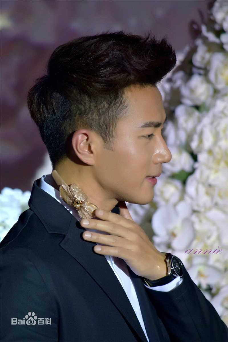 刘恺威(Hawick Lau，Lau Hoi Wai)2015年活动集图册