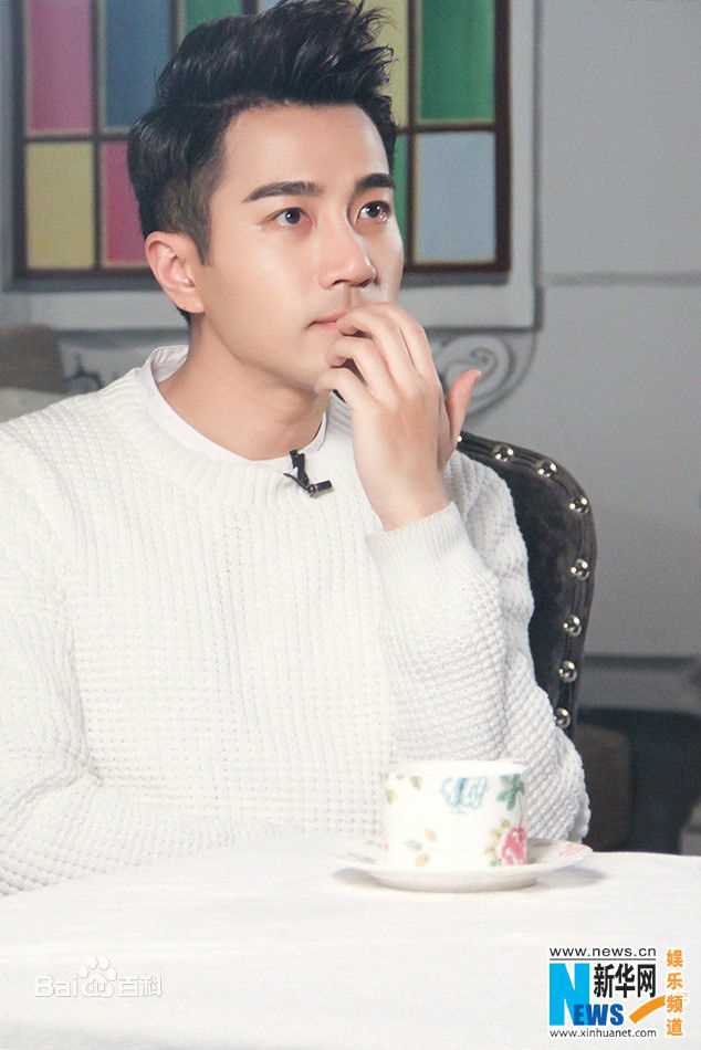 刘恺威(Hawick Lau，Lau Hoi Wai)2015年活动集图册