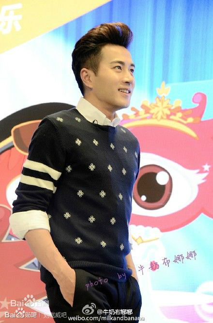 刘恺威(Hawick Lau，Lau Hoi Wai)2015年活动集图册