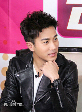 刘恺威(Hawick Lau，Lau Hoi Wai)2015年活动集图册