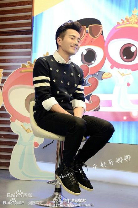 刘恺威(Hawick Lau，Lau Hoi Wai)2015年活动集图册