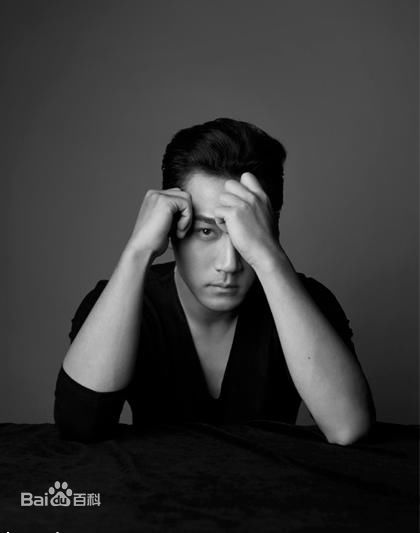 最全刘恺威(Hawick Lau，Lau Hoi Wai)精彩图册