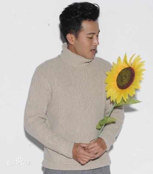 最全刘恺威(Hawick Lau，Lau Hoi Wai)精彩图册