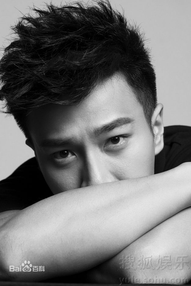 最全刘恺威(Hawick Lau，Lau Hoi Wai)精彩图册