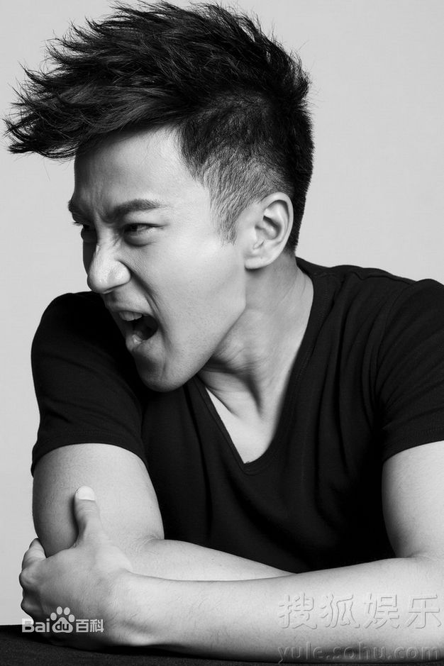 最全刘恺威(Hawick Lau，Lau Hoi Wai)精彩图册