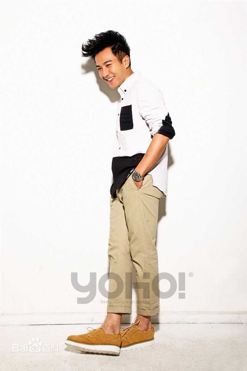 最优质刘恺威(Hawick Lau，Lau Hoi Wai)精彩图册