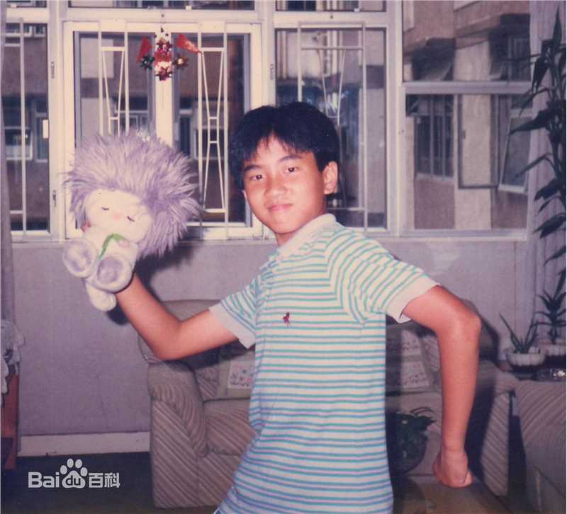 刘恺威(Hawick Lau，Lau Hoi Wai)儿时照片性感图片图集