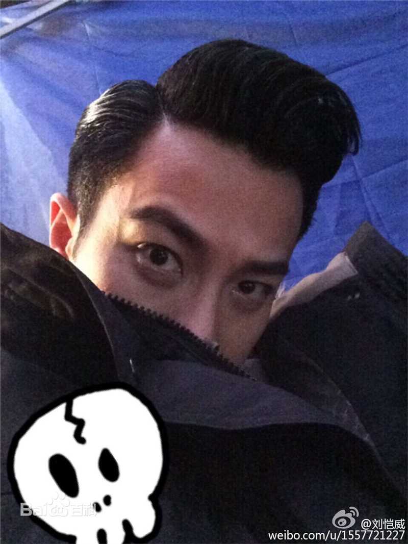 刘恺威(Hawick Lau，Lau Hoi Wai)微博日常图册