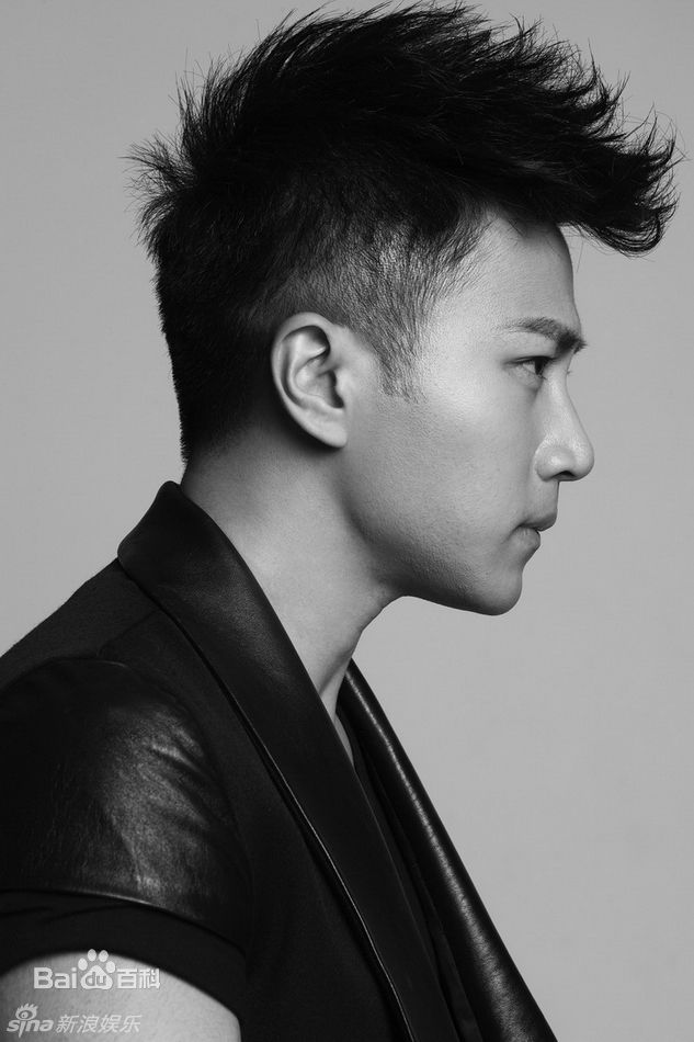 高清刘恺威(Hawick Lau，Lau Hoi Wai)精彩图册