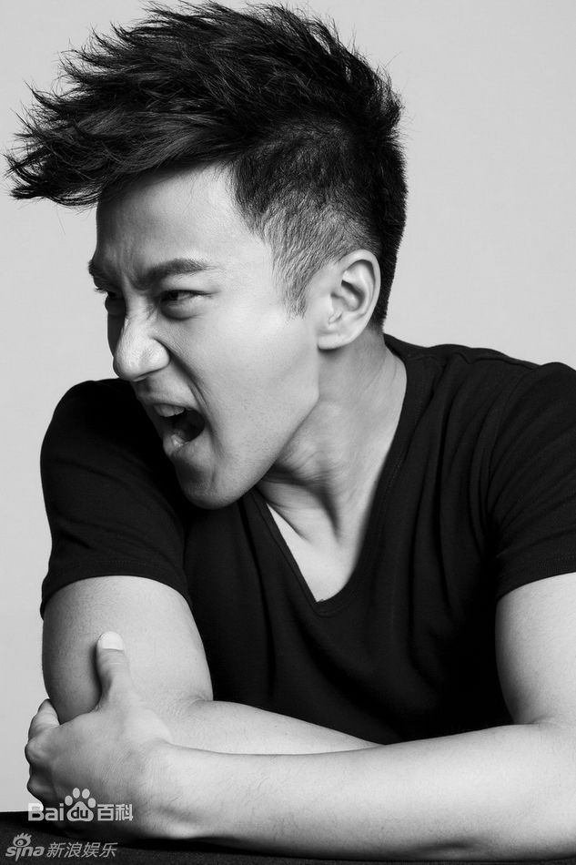 高清刘恺威(Hawick Lau，Lau Hoi Wai)精彩图册