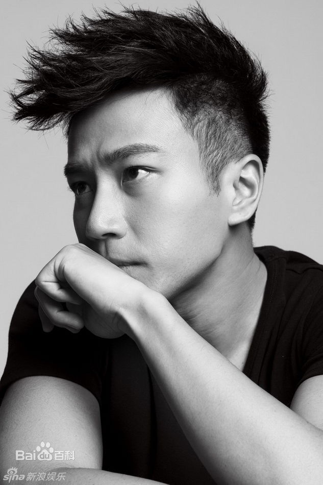 高清刘恺威(Hawick Lau，Lau Hoi Wai)精彩图册