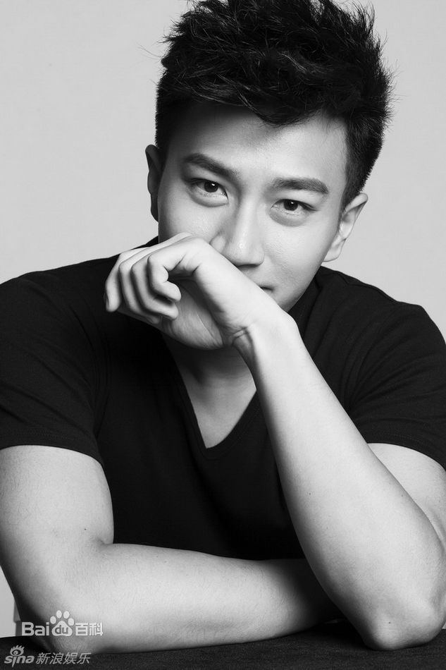 高清刘恺威(Hawick Lau，Lau Hoi Wai)精彩图册
