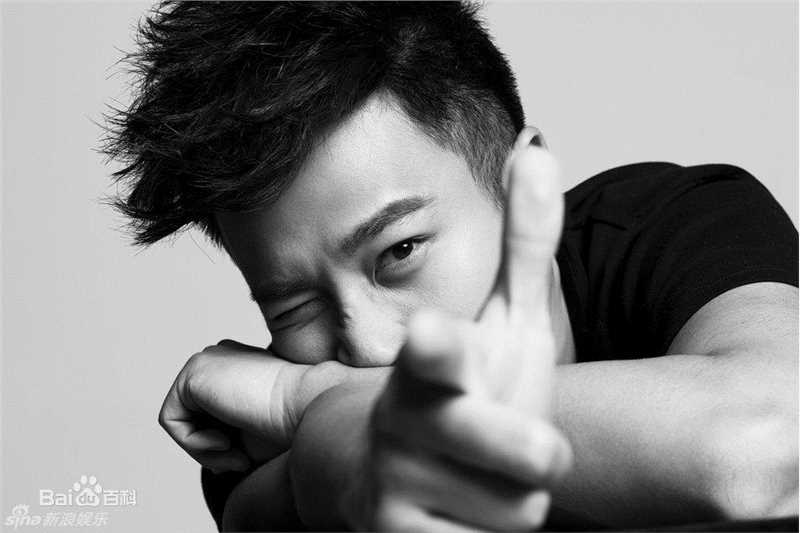 高清刘恺威(Hawick Lau，Lau Hoi Wai)精彩图册