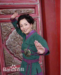 苑琼丹电影（1993--2011）