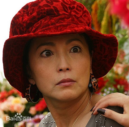 苑琼丹精彩图册