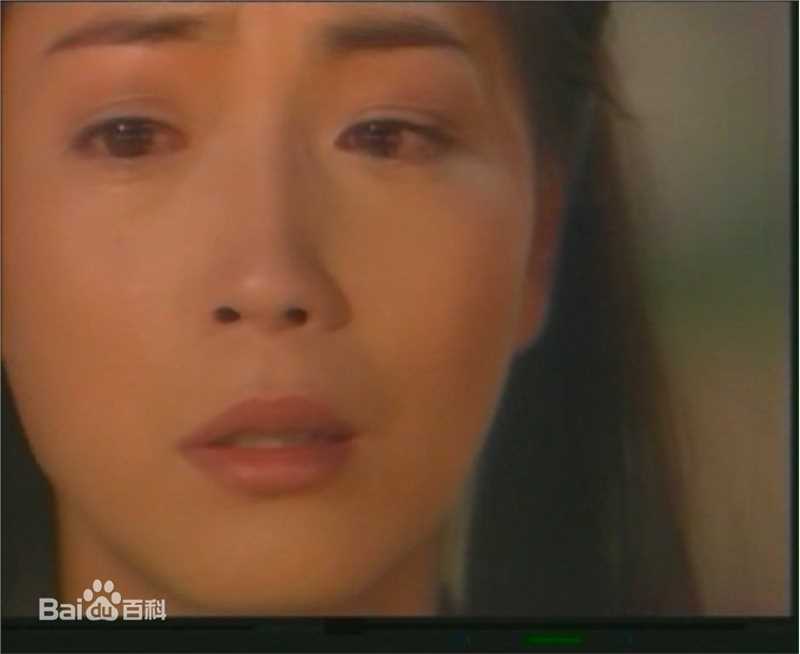 苑琼丹唯美形象