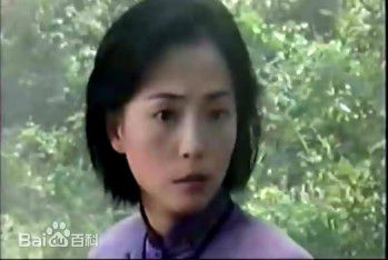 苑琼丹唯美形象