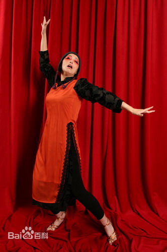 苑琼丹之舞林大会