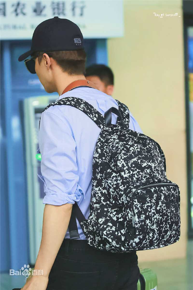 马天宇(Ray Ma)机场照3性感图片图集