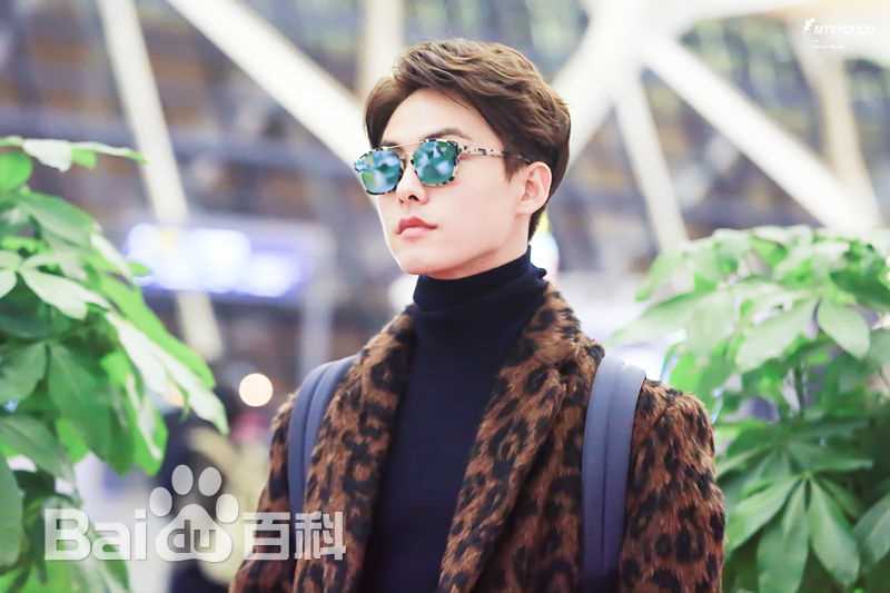 马天宇(Ray Ma)机场照3性感图片图集