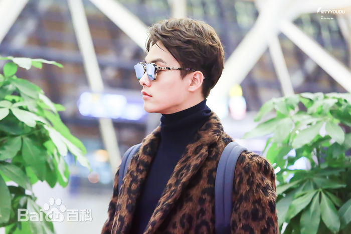马天宇(Ray Ma)机场照3性感图片图集