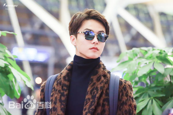 马天宇(Ray Ma)机场照3性感图片图集