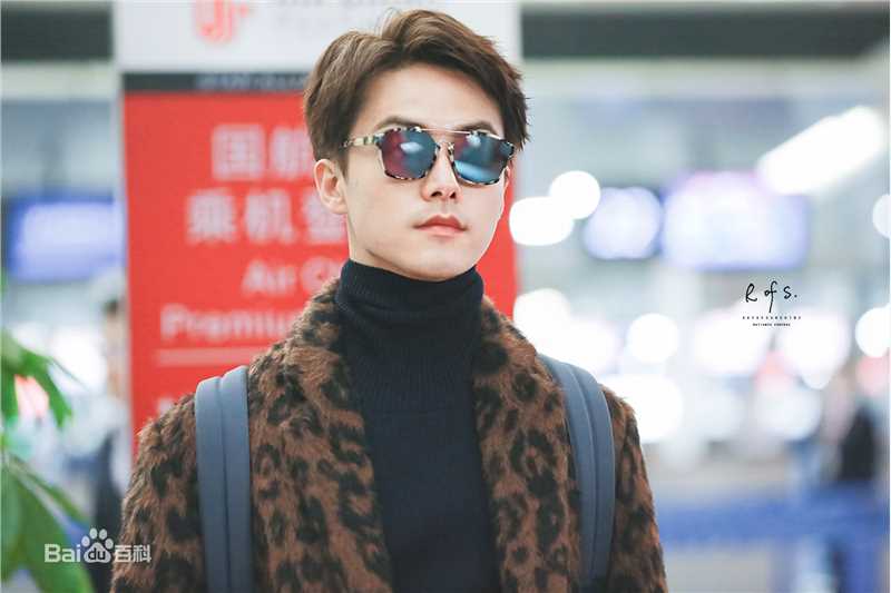 马天宇(Ray Ma)机场照3性感图片图集