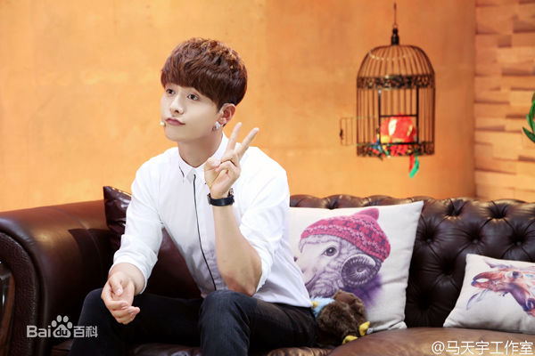 马天宇(Ray Ma)综艺节目2性感图片图集