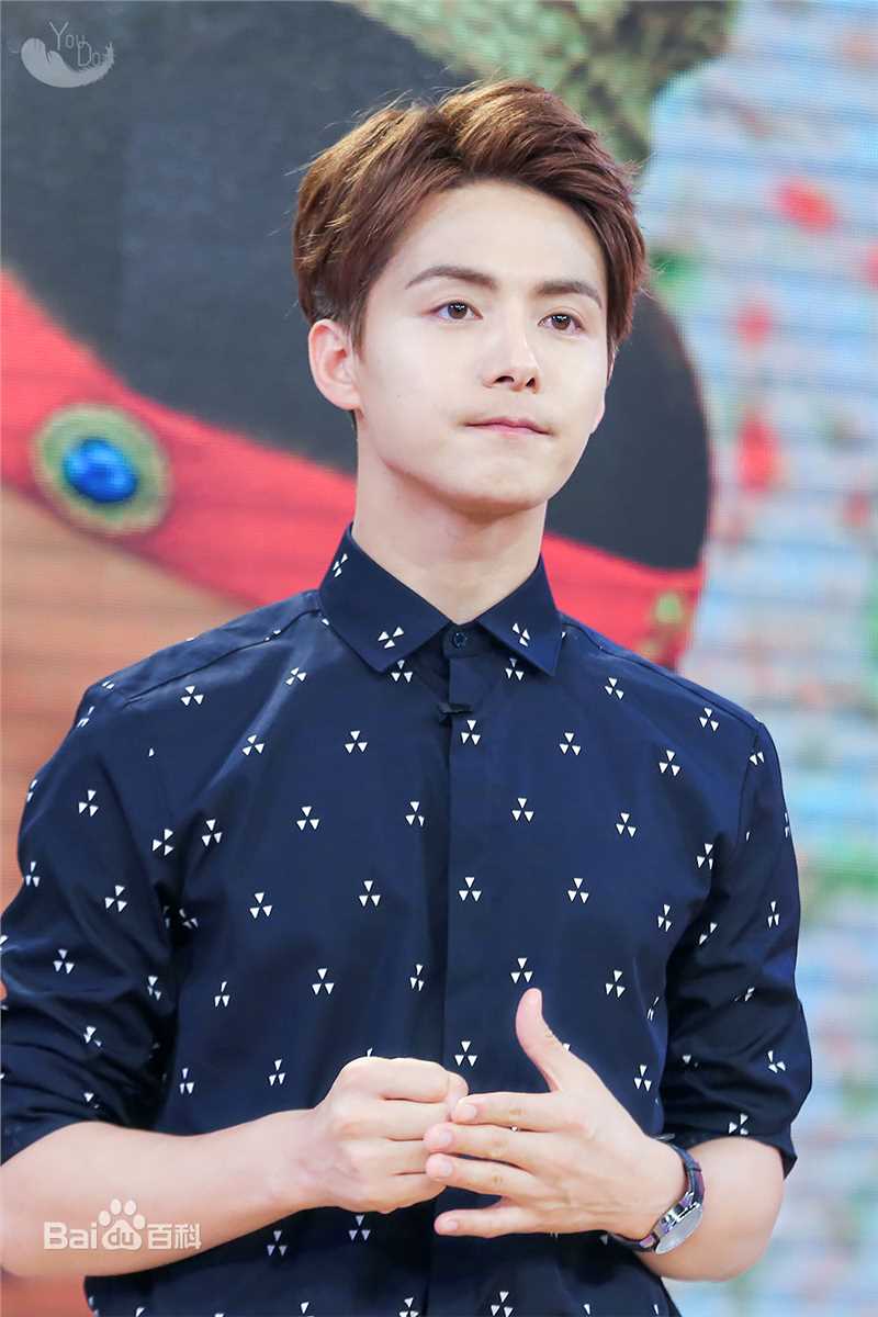 马天宇(Ray Ma)综艺节目2性感图片图集