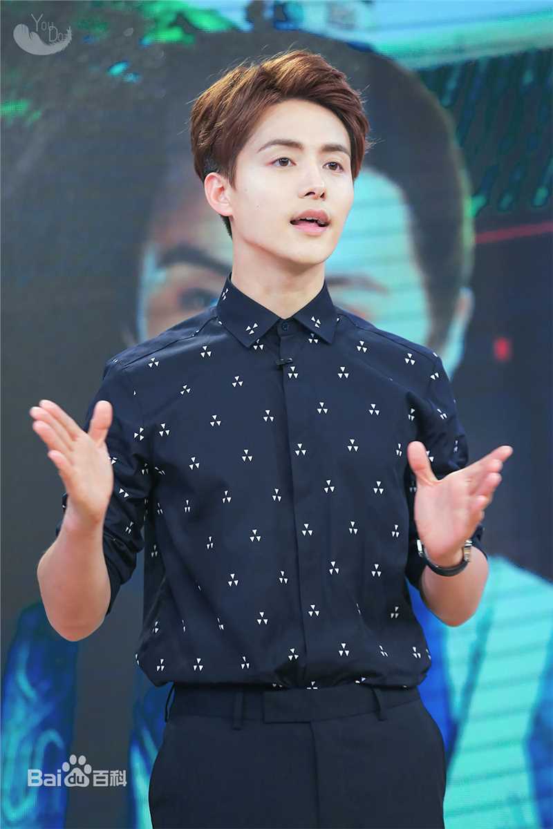 马天宇(Ray Ma)综艺节目2性感图片图集