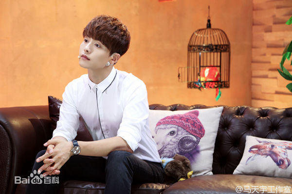 马天宇(Ray Ma)综艺节目2性感图片图集