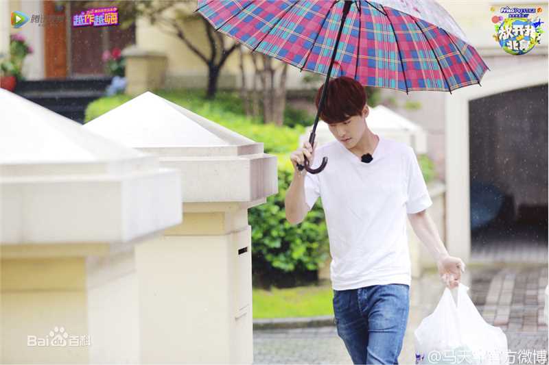 马天宇(Ray Ma)综艺节目2性感图片图集