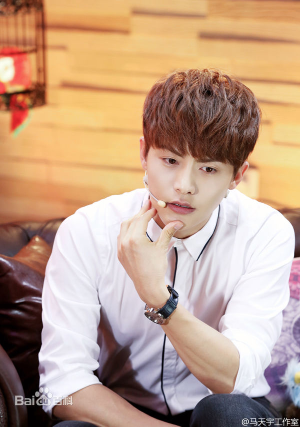 马天宇(Ray Ma)综艺节目2性感图片图集