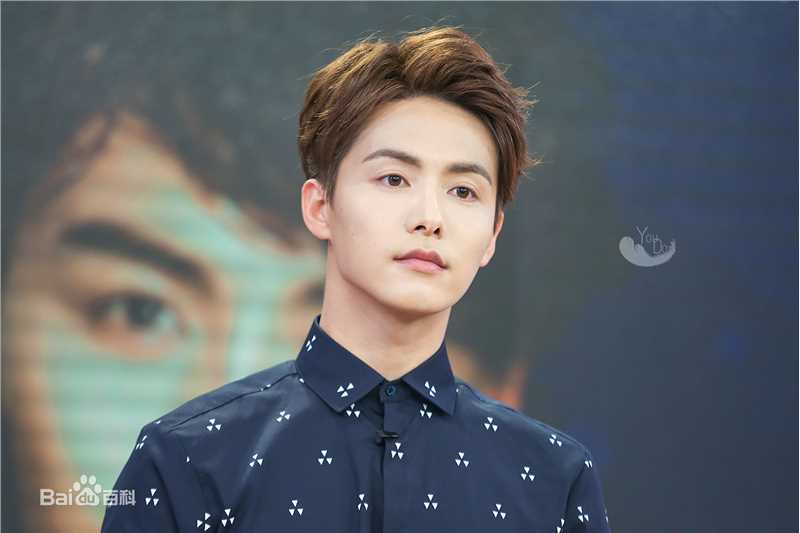 马天宇(Ray Ma)综艺节目2性感图片图集