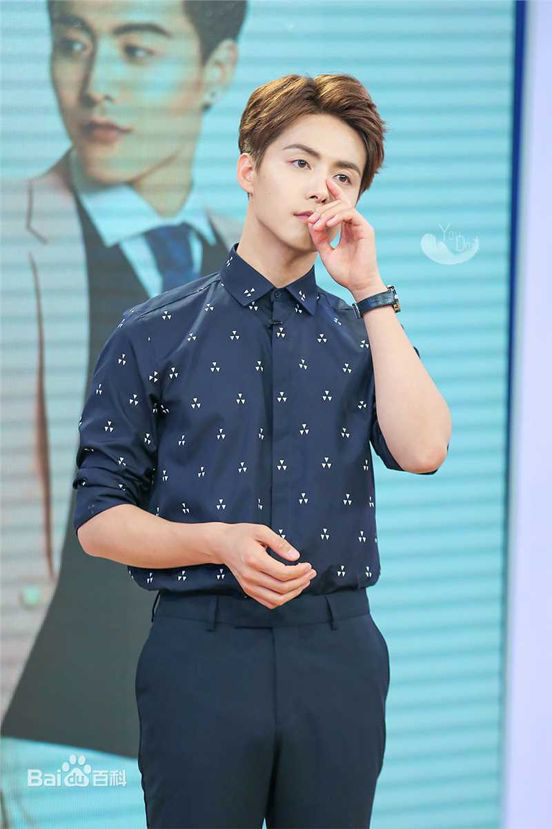 马天宇(Ray Ma)综艺节目2性感图片图集