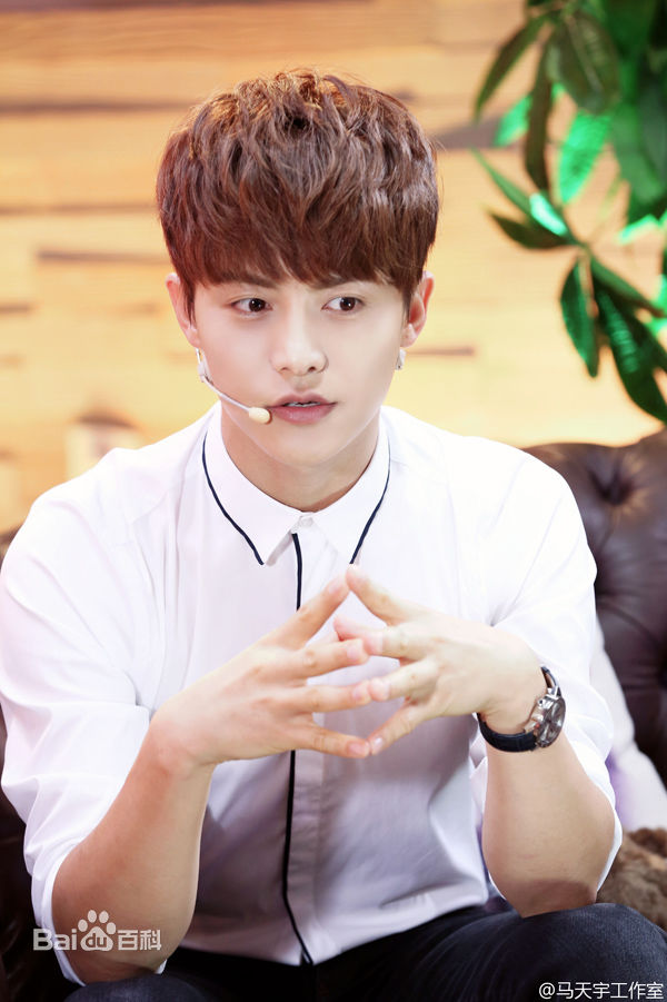 马天宇(Ray Ma)综艺节目2性感图片图集