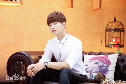 马天宇(Ray Ma)综艺节目2性感图片图集