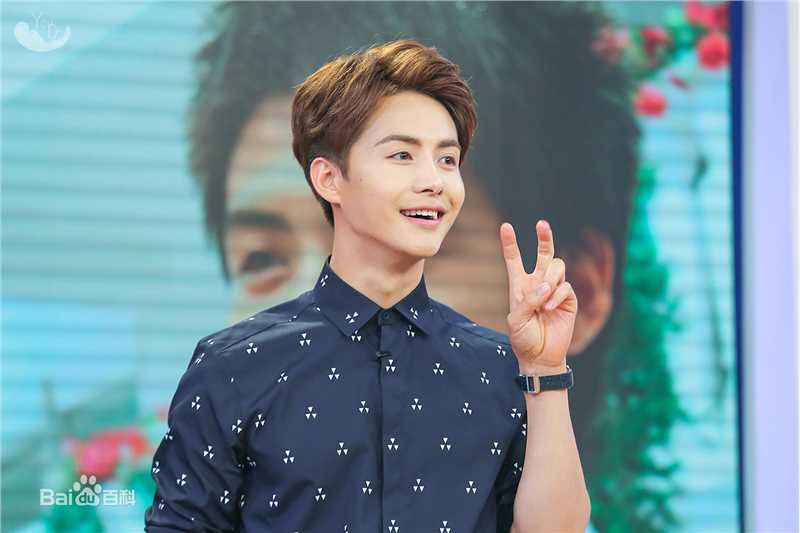 马天宇(Ray Ma)综艺节目2性感图片图集