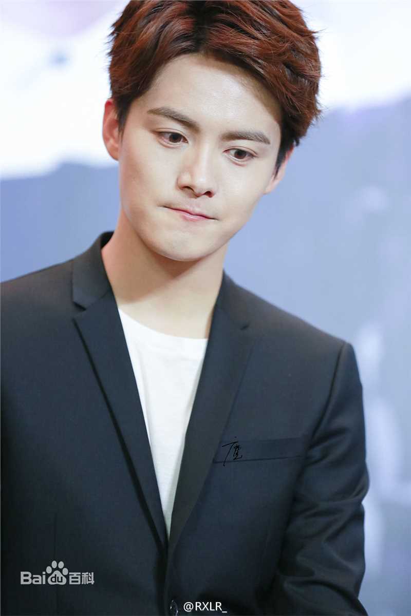 马天宇(Ray Ma)出席活动图册