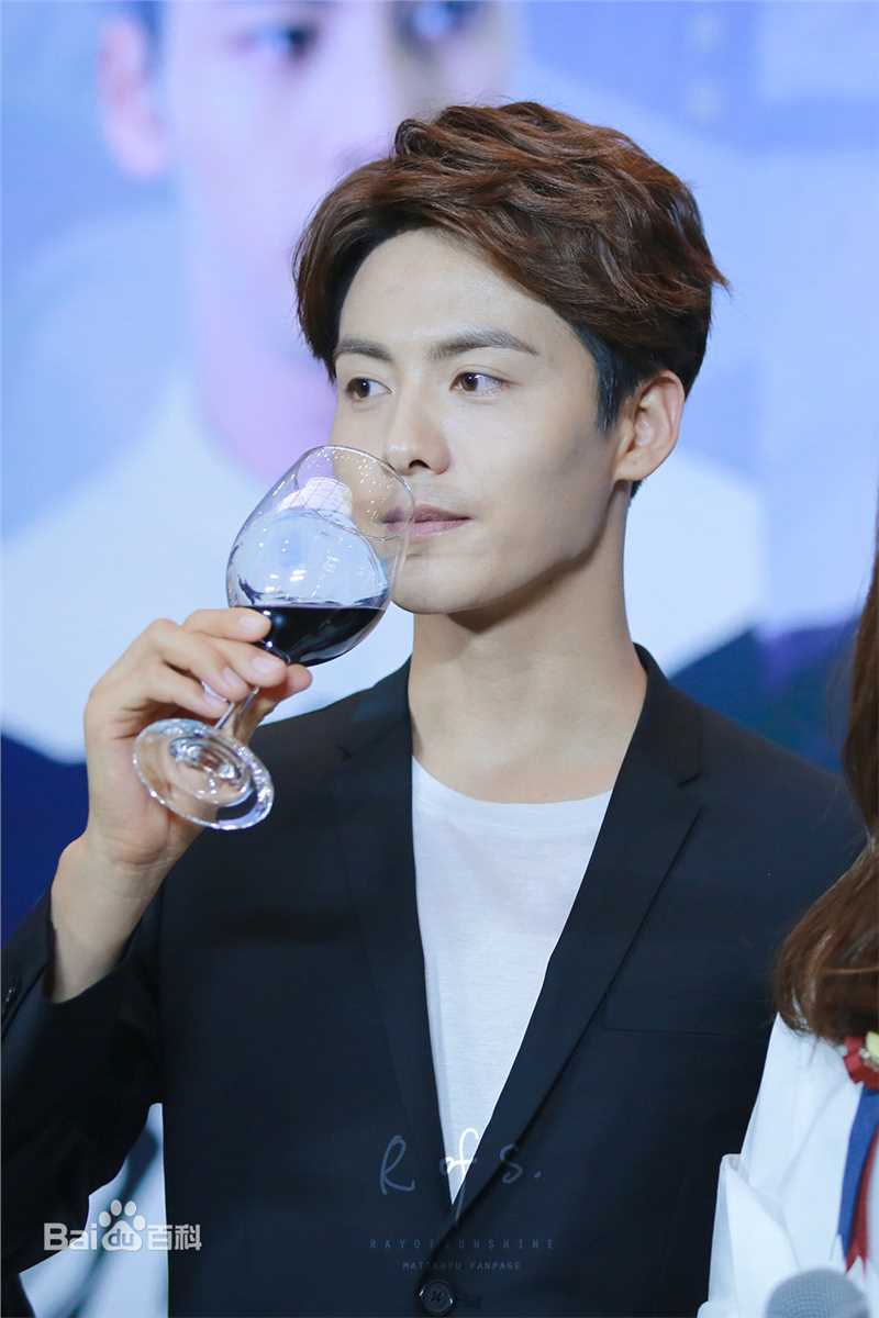 马天宇(Ray Ma)出席活动图册