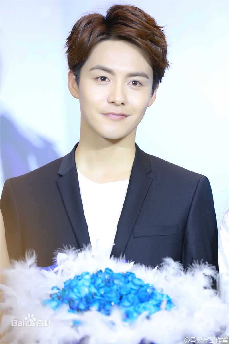 马天宇(Ray Ma)出席活动图册