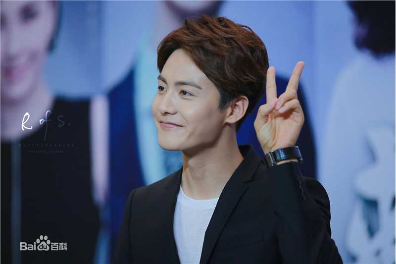 马天宇(Ray Ma)出席活动图册