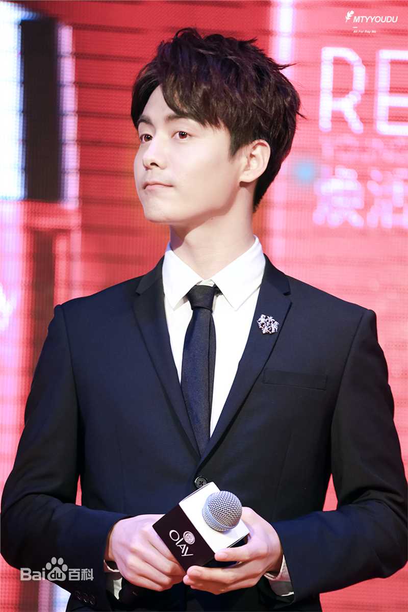 马天宇(Ray Ma)出席活动图册