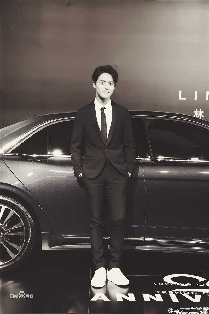 马天宇(Ray Ma)出席活动图册