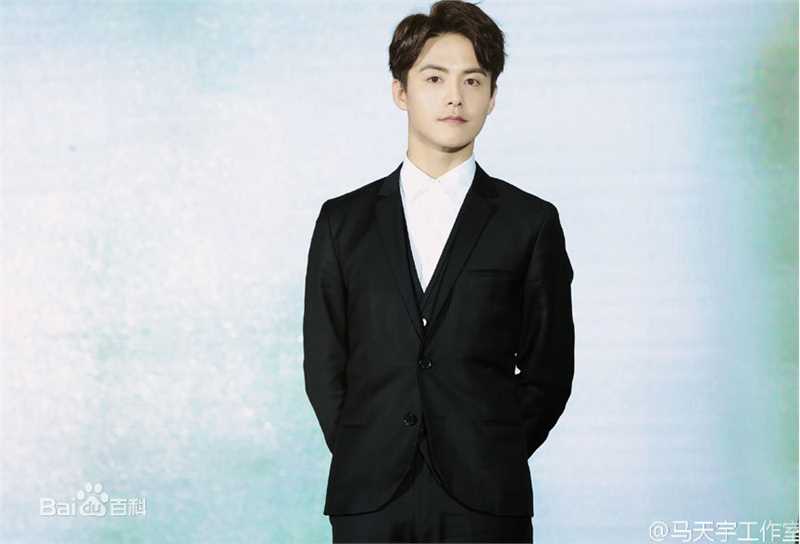 马天宇(Ray Ma)出席活动图册