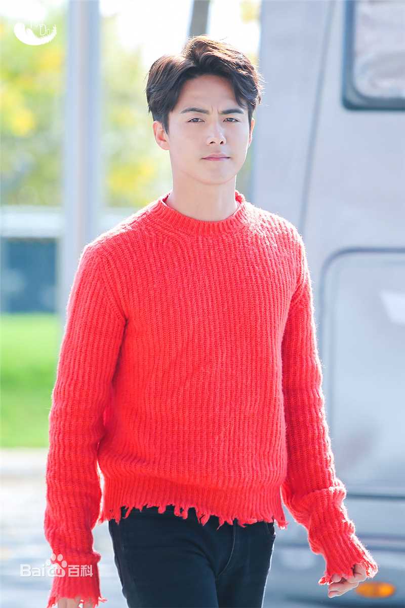 马天宇(Ray Ma)出席活动图册